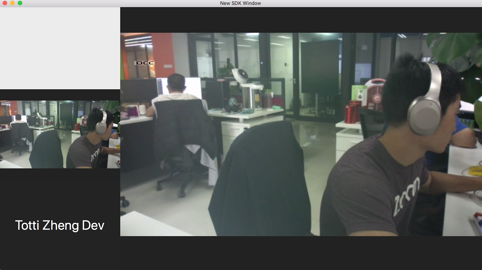Host in meeting and video muted, show avatar view, and a guest joined