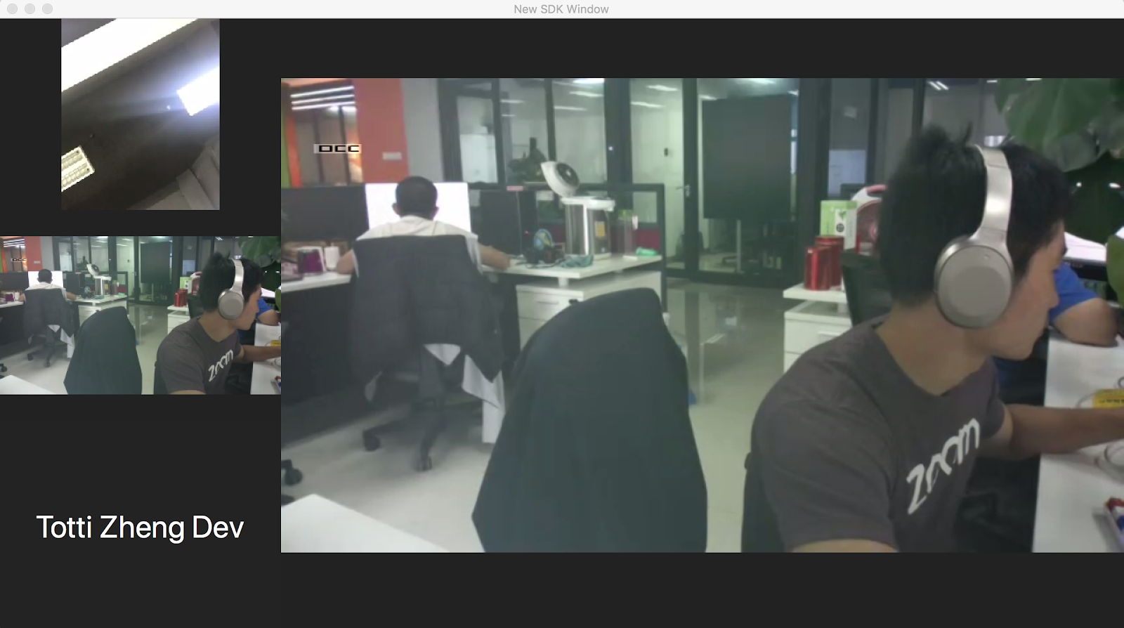 Host in meeting and video muted, show avatar view, and a guest joined