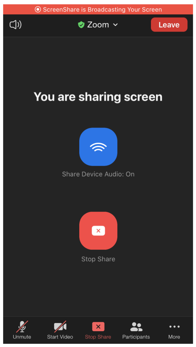 Screen sharing - Zoom Developers