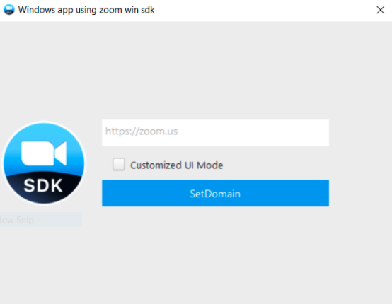 Screenshot of the demo app's first dialog, titled Window. It has the Zoom logo, a field for the domain, a Custom UI checkbox, and a Set Domain button.