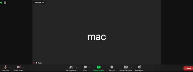 Screenshot of the launched demo app, showing a Zoom Meeting window. The window includes all standard Zoom Meeting controls along the bottom of the screen.