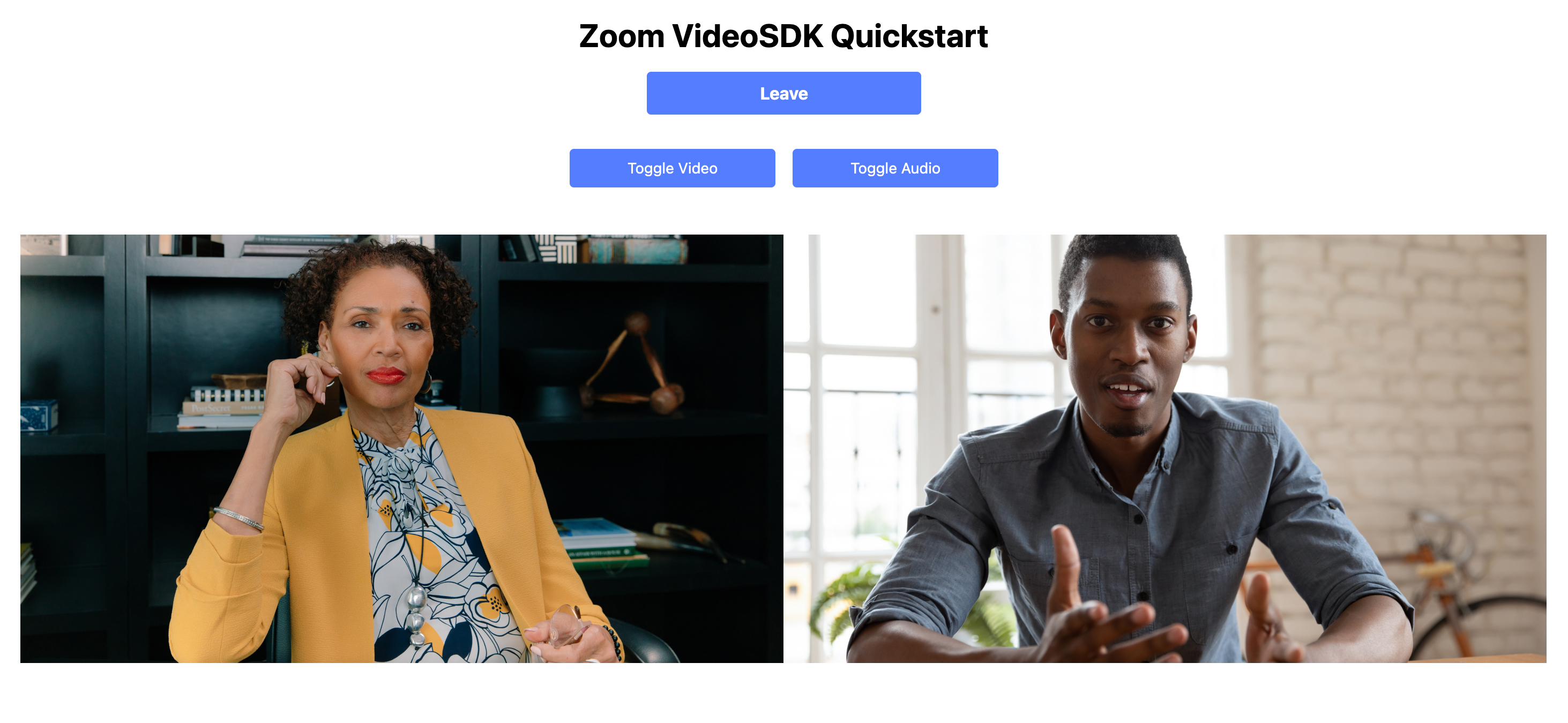demo videocall screen