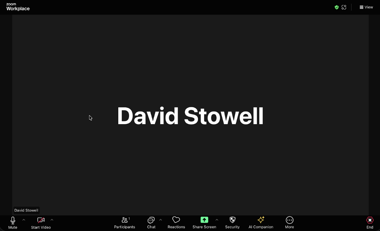 in meeting screen