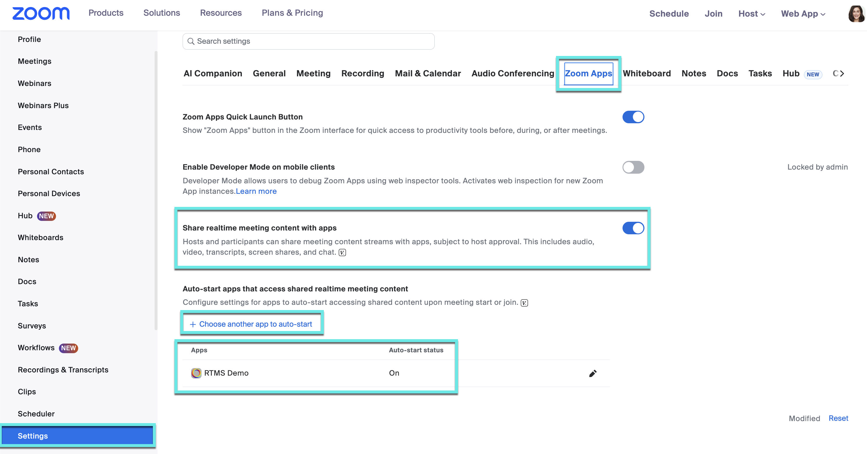 Zoom settings showing RTMS auto-start configuration